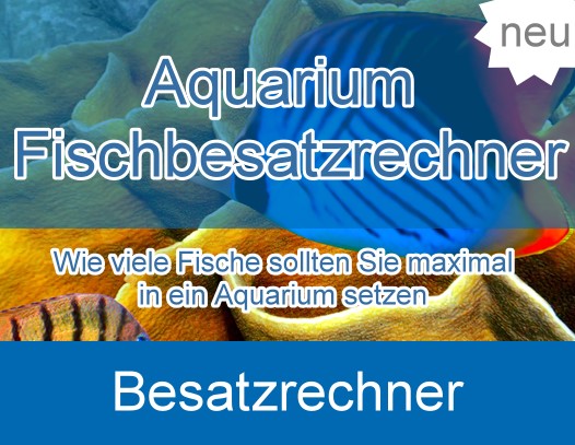 Fish stocking calculator, calculate aquarium size, how many fish per aquarium, calculate aquarium, how big aquarium, ornamental fish aquarium size