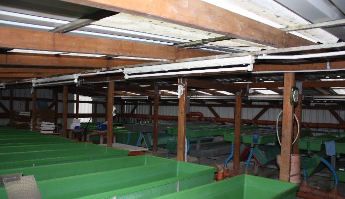 Calculate pond filter cost calculator, garden pond filter optimal price Calculate pond filter cost calculator, garden pond filter optimal price